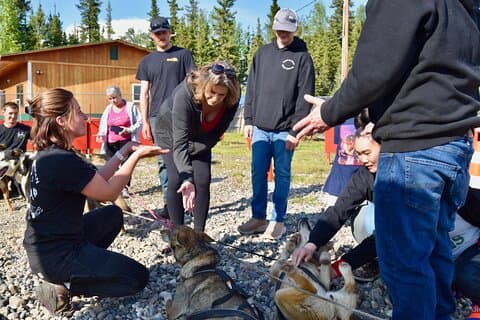 45 minutes Fairbanks Husky Experience avec UTV