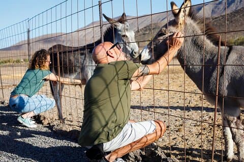 Fuerteventura Aloe Vera Workshop, Farm Tour and Local Tasting