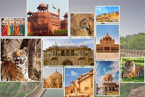 India Forts & Palaces With Tigers Rajasthan Tour - 17 dager
