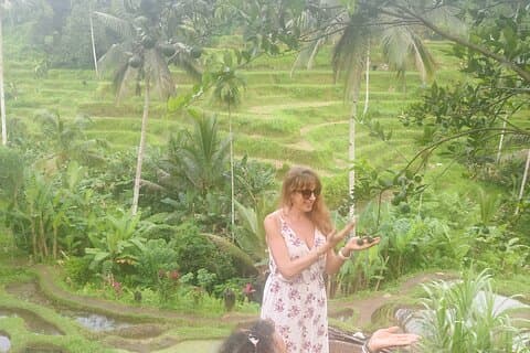 Ubud Discovery-paketet : Risterrasser, tempel och dolda pärlor