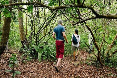 Zanzibar Full-Day Tour Jozani Forest and Swahili Cooking Class