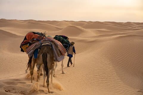 Fra Tunis/Hammamet/Sousse: 2-dages Sahara-tur med overnatning i telt