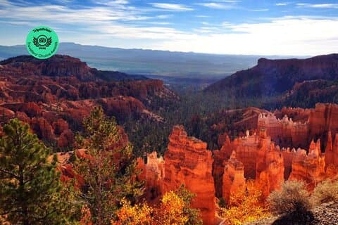 Yellowstone Rocky Mountain und California Desert 11 Day Explorer