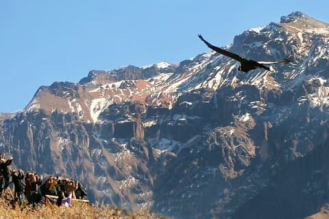 All inclusive Excursion d'une journée complète Colca Canyon : tous les repas et entrées