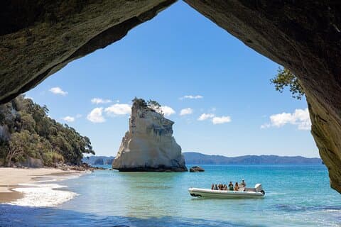 One Hour Cathedral Cove Boat Tour in Hahei