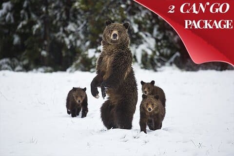 Yellowstone & Grand Teton National Parks Winter Tour 5-Day