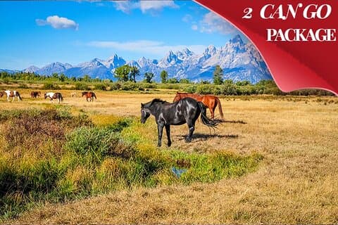 6 Day Tour: Grand Teton, Yellowstone, Rocky Mountain, and Colorado Hot Spring