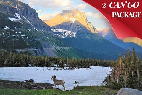 Grand Teton, Yellowstone, and Glacier National Parks 8-Day Tour