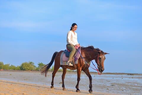 Krabi Beach ridäventyr