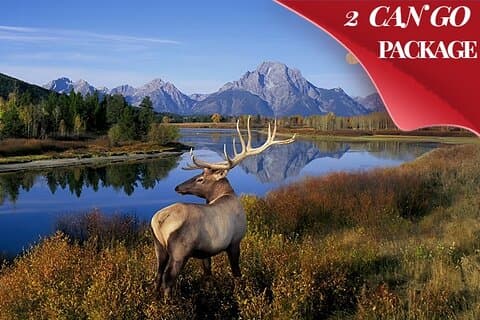 Yellowstone, Grand Teton, and Hot Springs: Small Group 5-Day Tour