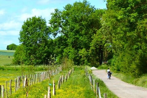 Sportiga mountainbiketurer i Versailles slottsdal