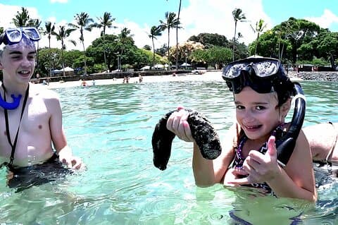 Snorkling i Waikiki Mange fisker alle nivåer Gratis video og bilder!
