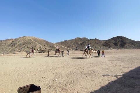 Hurghada Safari ATV, Buggy, Camel Ride, Middag og show