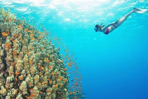 Ras Mohamed & White Island Luxury Yacht Trip from Sharm el Sheikh