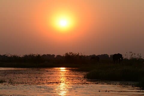 Chobe River Majestic Wildlife Cruise con esclusivo Safari in barca