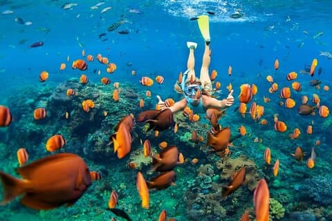 (ALL- IN) Bali Snorkeling Blue Lagoon And Tanjung Jepun