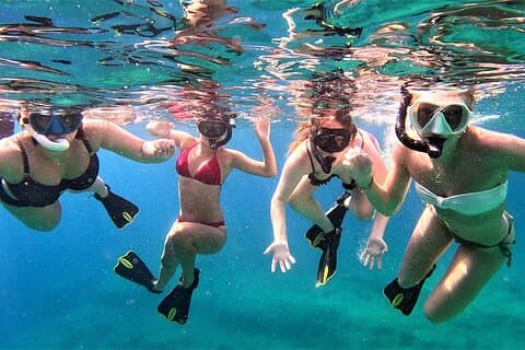 Snorkel Tour in Malta & Gozo by local guide with photos