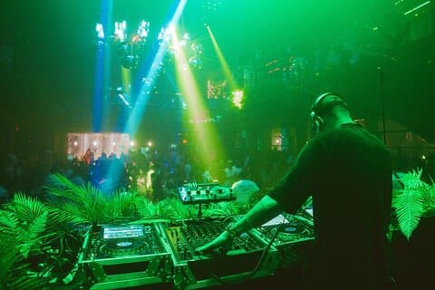 Tropicalia Disco – Party Night – Nightclub