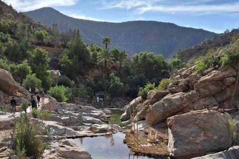 Paradise Valley Half Day with local guide