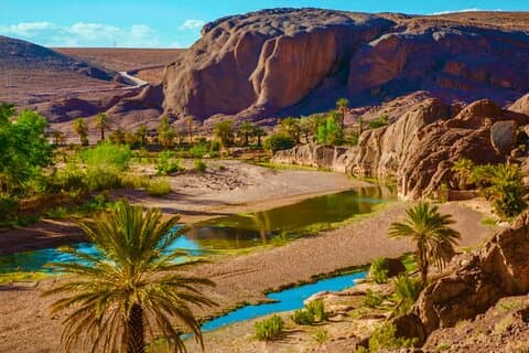Marrakech: 2 days private Oasis of Fint via Aït Ben Haddou