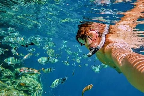 Snorkling San Jose del cabo, lunsj, åpen bar