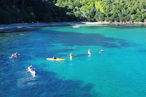 Hoteller i nærheden af Tiritiri Matangi Sea Kayak Tour