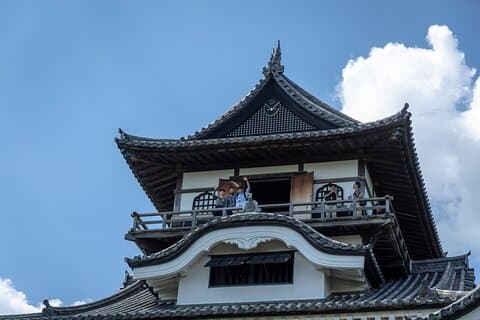 Da Nagoya: tour di mezza giornata del castello di Inuyama e del tè (piccolo gruppo)