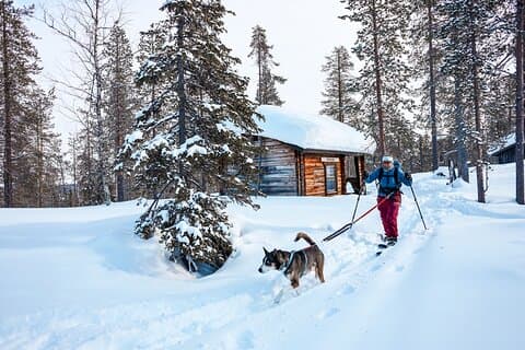 Udforsk de arktiske stier i Lapland, 1: 1 med din egen alaskan husky