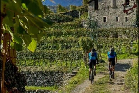 Vinoplevelse og cykeltur fra Comosøen til Valtellina