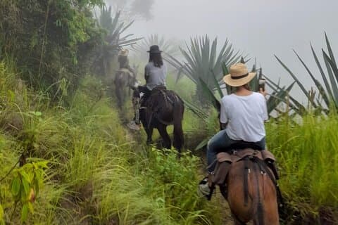 Santa Marta : Horseback riding to Duwanaby, the ancestral stone