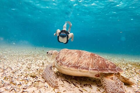 Cozumel: Private Tour to El Cielo and Palancar with lunch