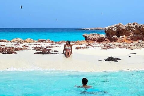 Daymaniyat Islands Snorkling Tour - Simma med sköldpaddor och kajakpaddling