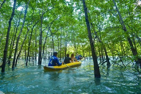 James Bond and Koh Panyee Village Sea Canoeing from Khao Lak