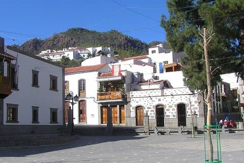 Safari Eventyr: Oplev det vilde hjerte af Gran Canaria