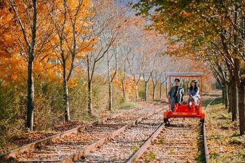 Nami Island, Apple Picking, Rail bike & Light Festival