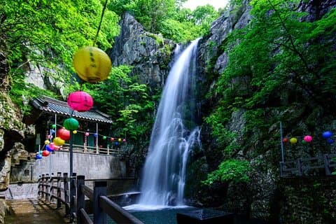 Gjemte buddhistiske templer tur fra Busan Privat dagstur
