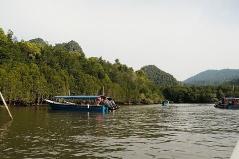 Private Mangrove Boat Tour 2 Hours of Scenic Exploration