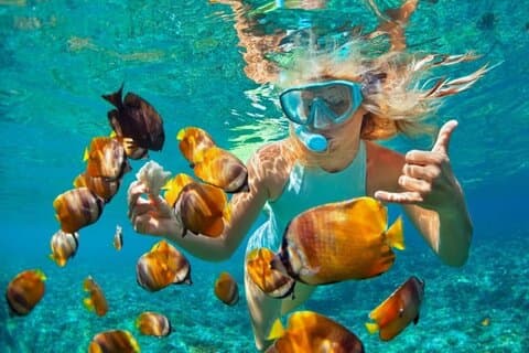 Snorkelen bij blauwe lagune & zeester Encouter