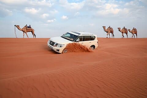 Dubai Red Dunes Desert Safari Adventure Under the Arabian Sky