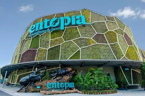 Entopia Butterfly und Nature Discovery Park Eintrittskarte Penang