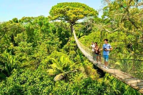 Hotell i nærheten av Tambopata 4 Day Amazon Tour: Chuncho Macaw & Sandoval Lake