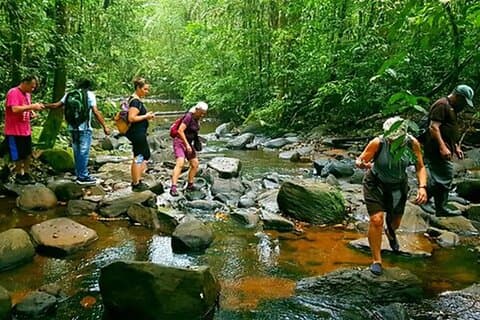 Sinharaja Rainforest Trekking Privat dagstur med lokal lunsj