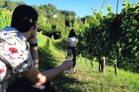 Winery Tour og smage 4 vine på Cantina Le Macchie nær Rom