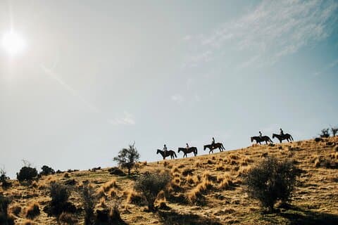 Gold Discovery Trail Horse Trek Cardrona - Populairste!