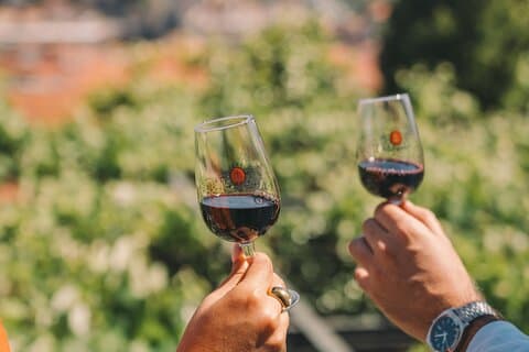 Porto : Taylor's Wine Cellar & WOW Day Pass