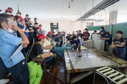 Akashi Private Tour: Fish Auction and Sushi Lunch
