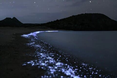 Bioluminescent Plankton kajak boottocht