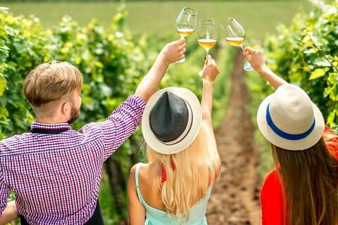 Visite des vins de Bakou