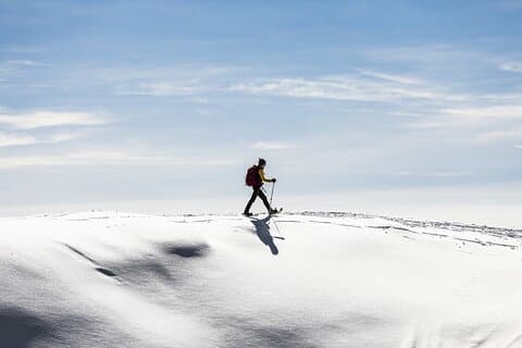 Snowshoe Hike in Tromso – Arctic Silence with Expert Guides