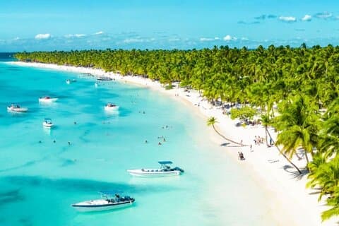 Catalina Island Adventure Snorkeling Nature Caribbean Escape